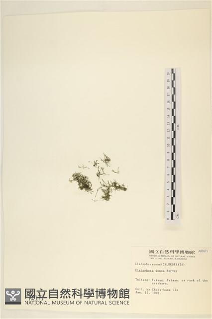 登錄號:A00000171藏品圖，第3張