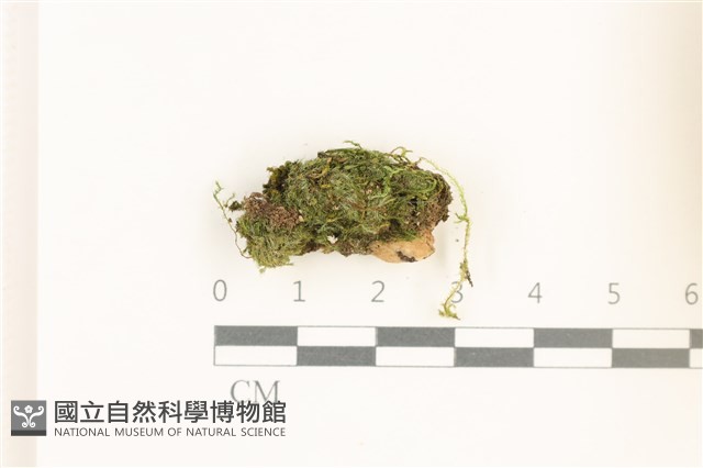 登錄號:B00012471藏品圖，第1張