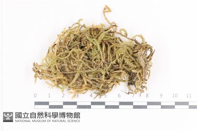 登錄號:B00009471藏品圖，第1張