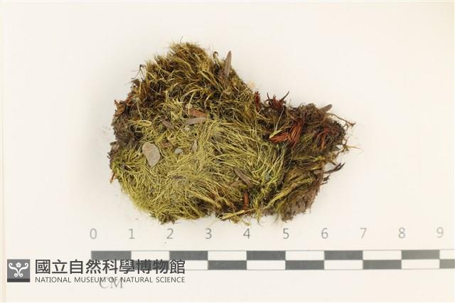 登錄號:B00010771藏品圖，第1張