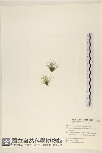登錄號:A00005211藏品圖，第3張