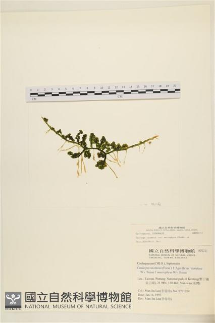 登錄號:A00001211藏品圖，第1張