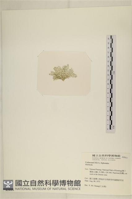 登錄號:A00005011藏品圖，第3張