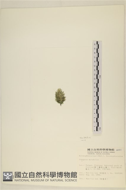 登錄號:A00001011藏品圖，第3張
