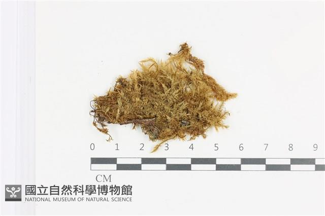 登錄號:B00009111藏品圖，第1張