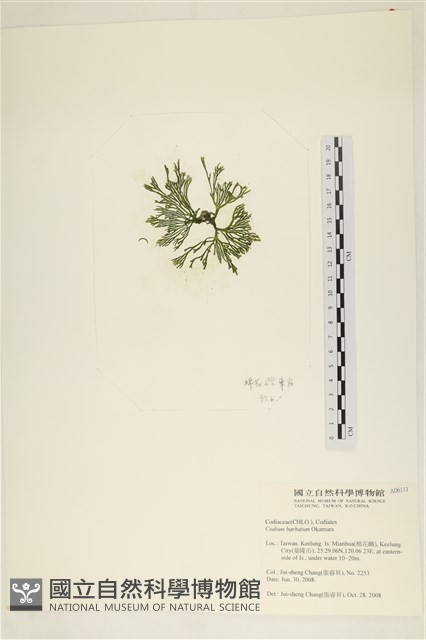 登錄號:A00006111藏品圖，第3張