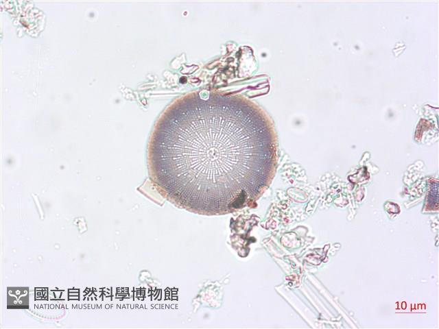 登錄號:A00004511藏品圖，第3張