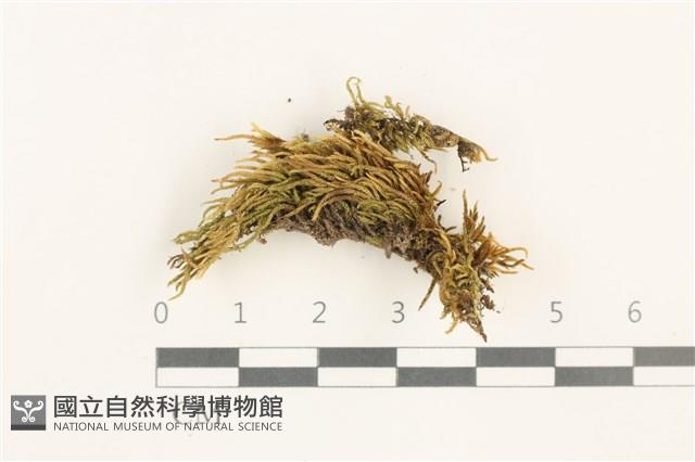 登錄號:B00012411藏品圖，第1張