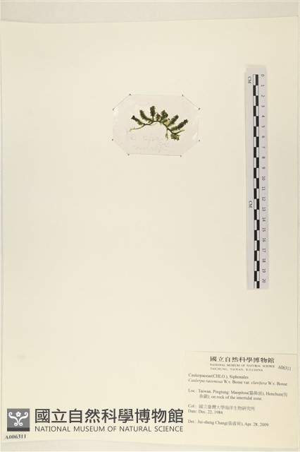登錄號:A00006311藏品圖，第3張
