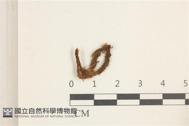 登錄號:B00013711藏品圖，第1張