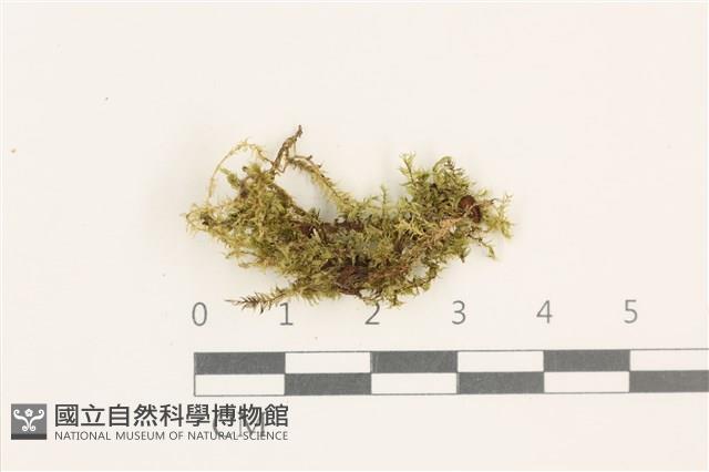 登錄號:B00020691藏品圖，第1張