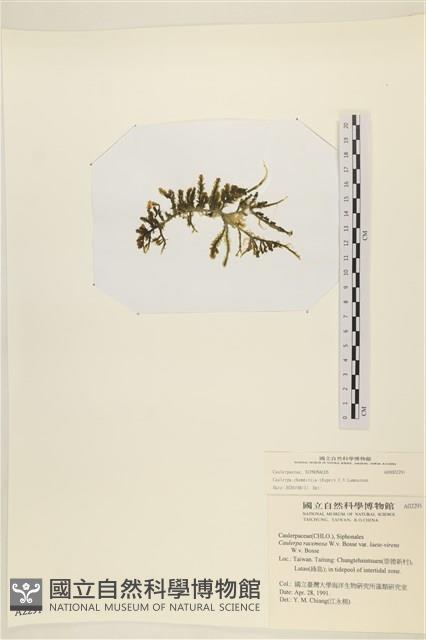 登錄號:A00002291藏品圖，第3張