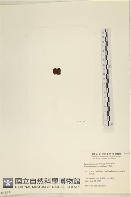 登錄號:A00004191藏品圖，第3張