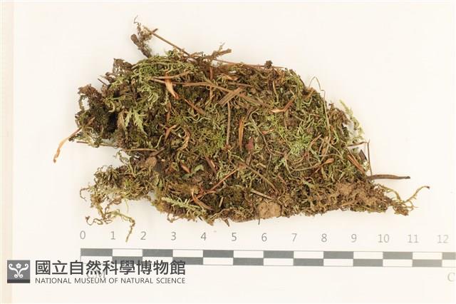登錄號:B00012591藏品圖，第1張