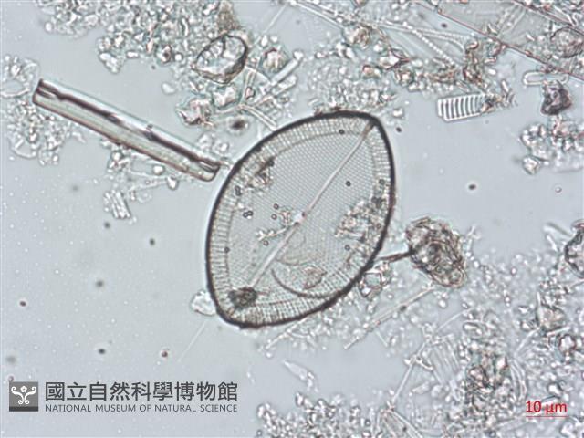 登錄號:A00004491藏品圖，第3張