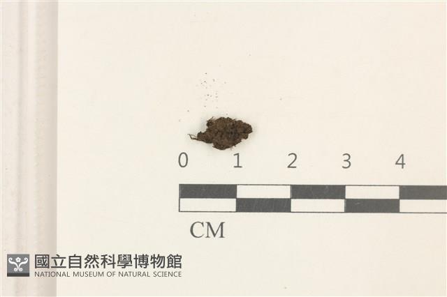 登錄號:B00019391藏品圖，第1張