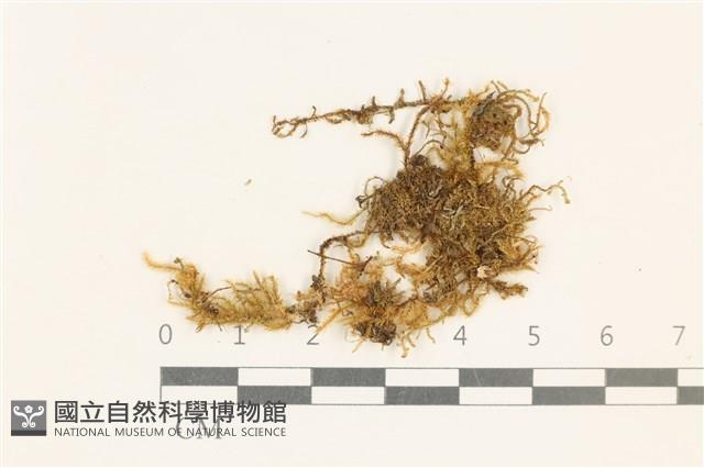 登錄號:B00008641藏品圖，第1張