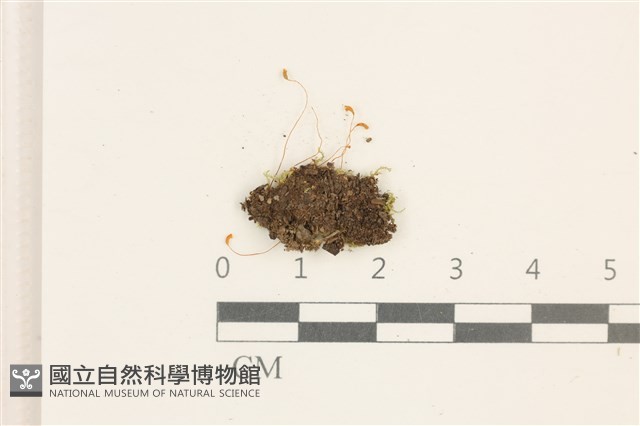 登錄號:B00009641藏品圖，第1張