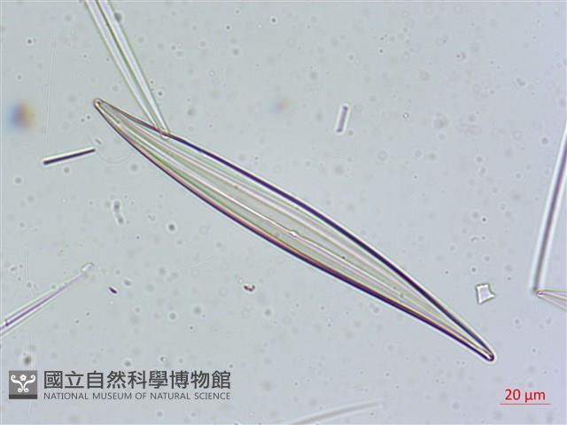 登錄號:A00004641藏品圖，第3張