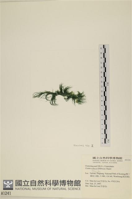 登錄號:A00001241藏品圖，第3張