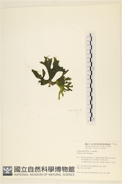 登錄號:A00006041藏品圖，第3張