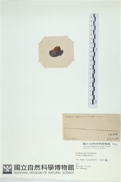 登錄號:A00004041藏品圖，第3張