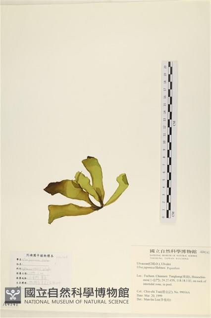 登錄號:A00004141藏品圖，第3張