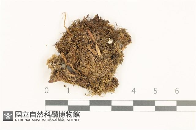 登錄號:B00019541藏品圖，第1張