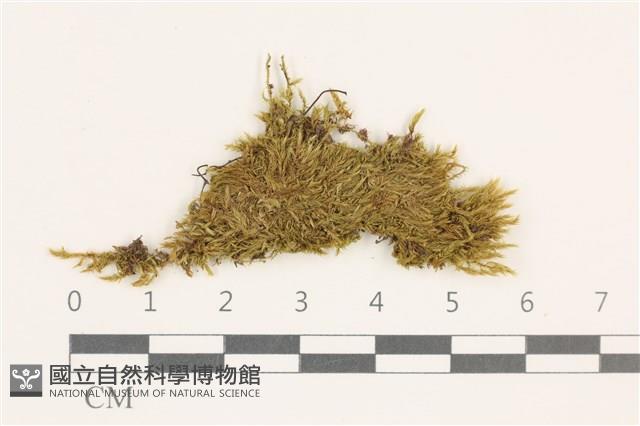 登錄號:B00015541藏品圖，第1張