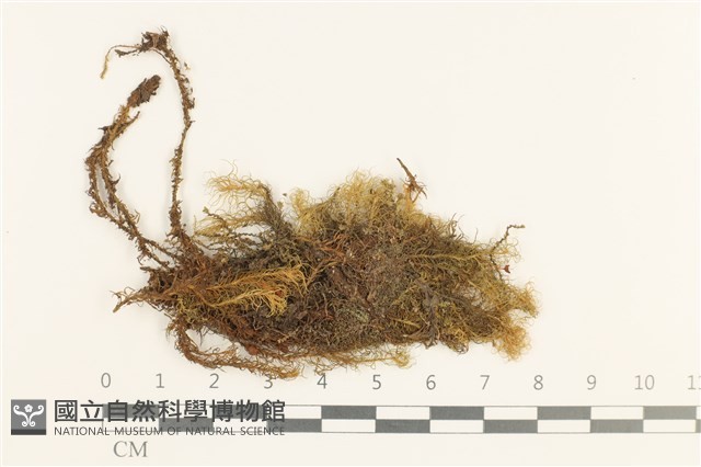 登錄號:B00014441藏品圖，第1張