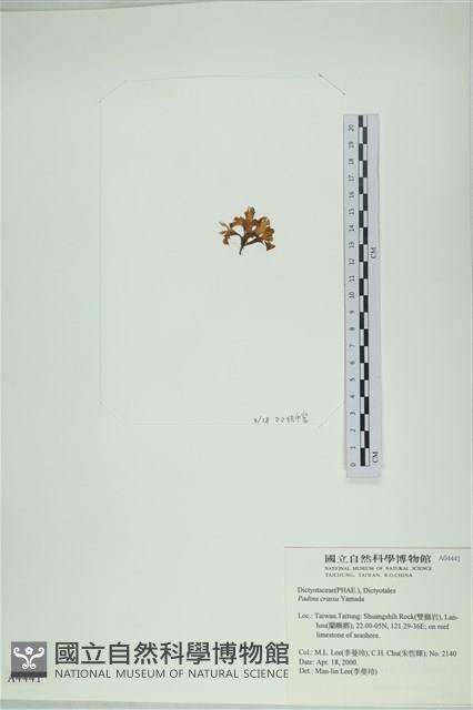 登錄號:A00004441藏品圖，第3張