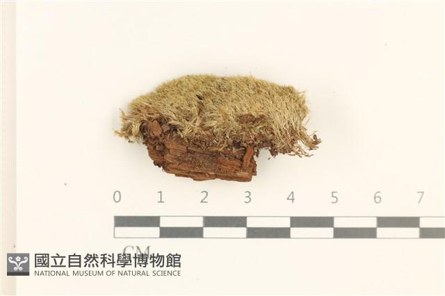 登錄號:B00013441藏品圖，第1張