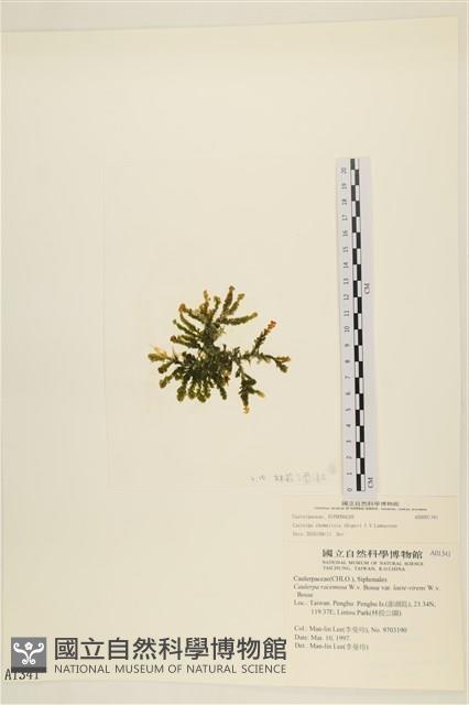 登錄號:A00001341藏品圖，第1張