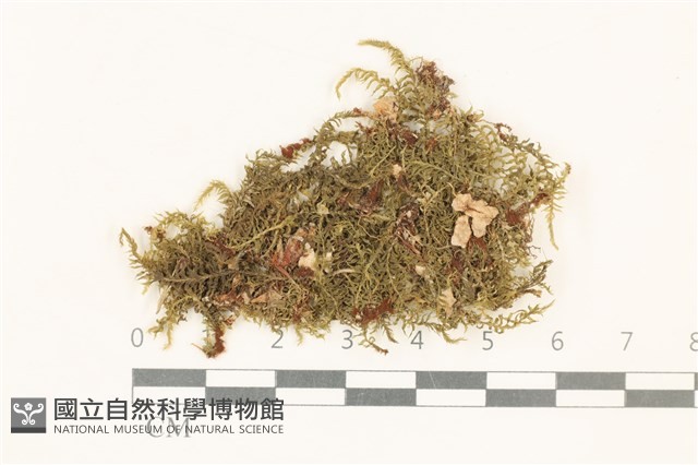 登錄號:B00002741藏品圖，第1張