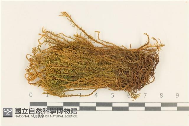 登錄號:B00001741藏品圖，第1張