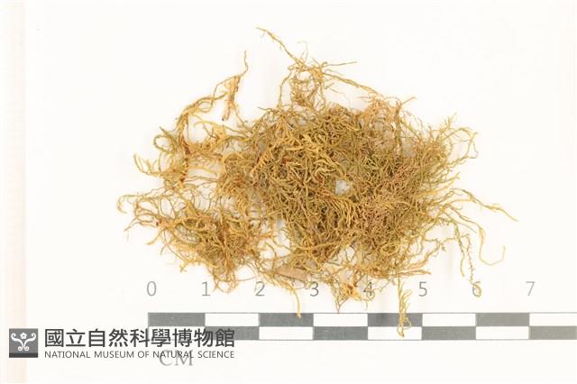 登錄號:B00009661藏品圖，第1張