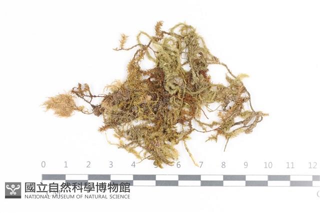 登錄號:B00021661藏品圖，第1張