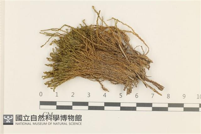 登錄號:B00018161藏品圖，第1張