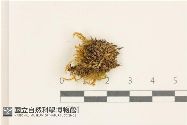 Accession Number:B00002561 Collection Image, Figure 1, Total 2 Figures