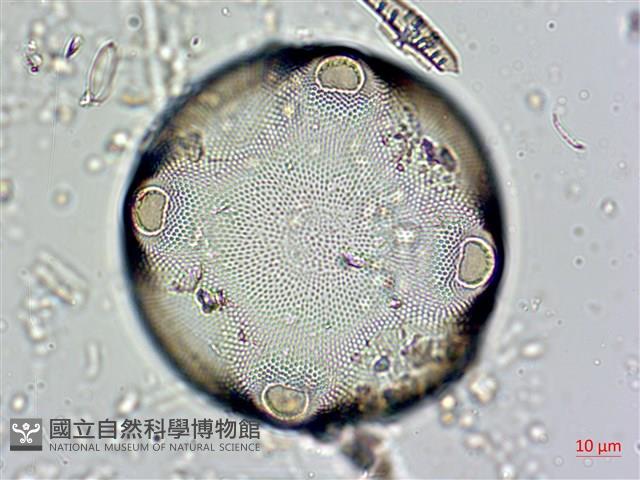 登錄號:A00004561藏品圖，第4張