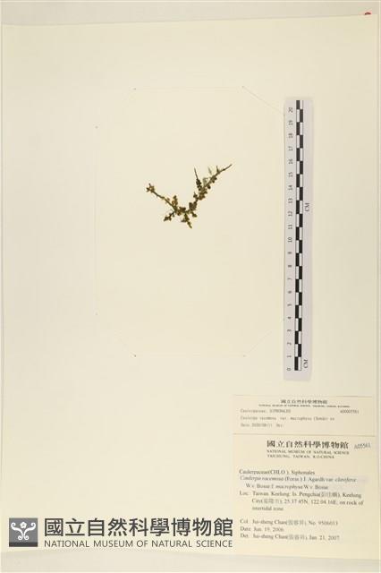 登錄號:A00005561藏品圖，第3張