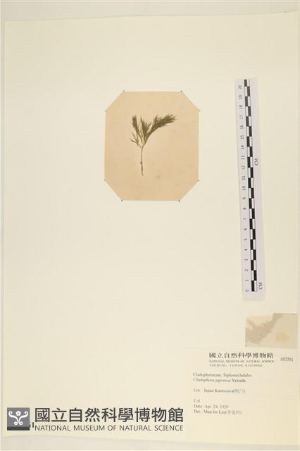 登錄號:A00003561藏品圖，第3張