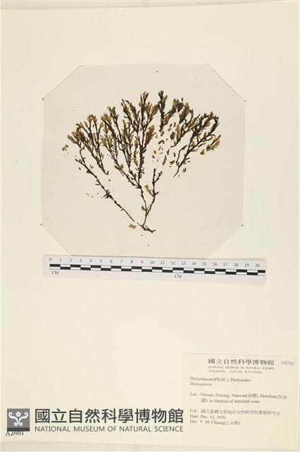 登錄號:A00002461藏品圖，第1張