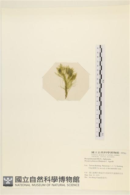 登錄號:A00005361藏品圖，第3張