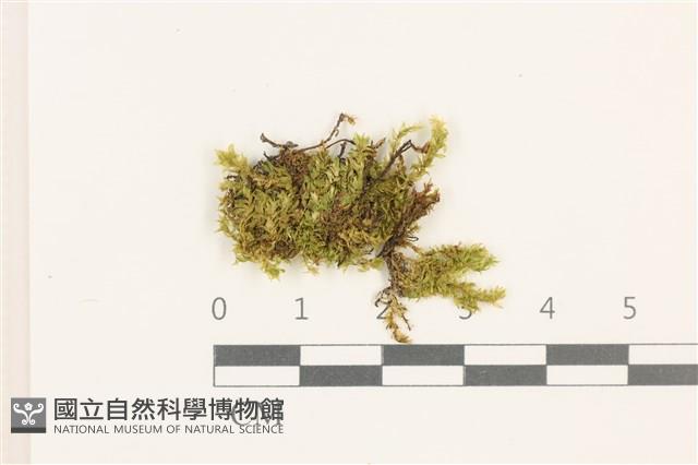 登錄號:B00009601藏品圖，第1張