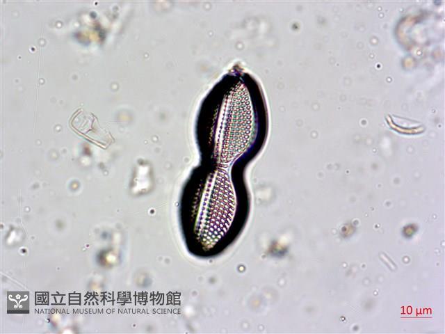 登錄號:A00004601藏品圖，第4張