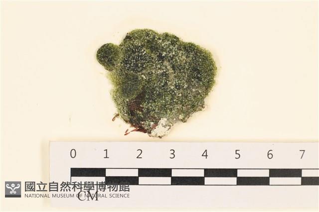 登錄號:A00005601藏品圖，第1張