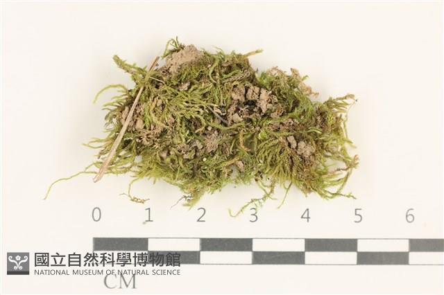 登錄號:B00013201藏品圖，第1張