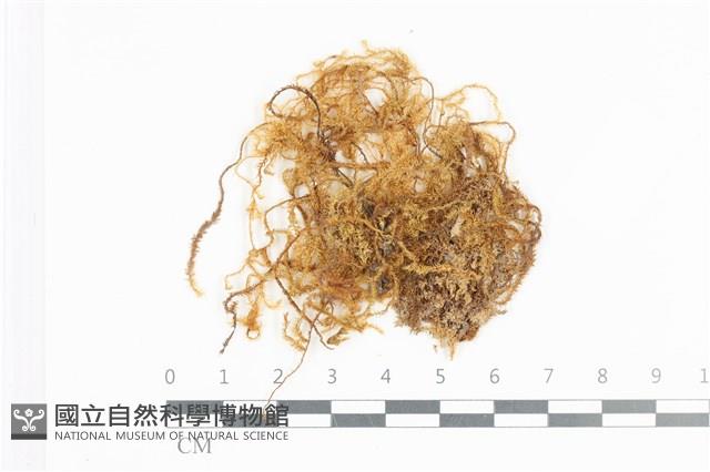 Accession Number:B00009001 Collection Image, Figure 1, Total 2 Figures