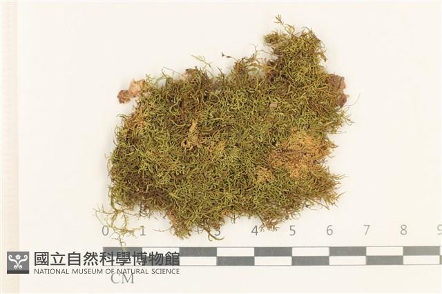 登錄號:B00007101藏品圖，第1張